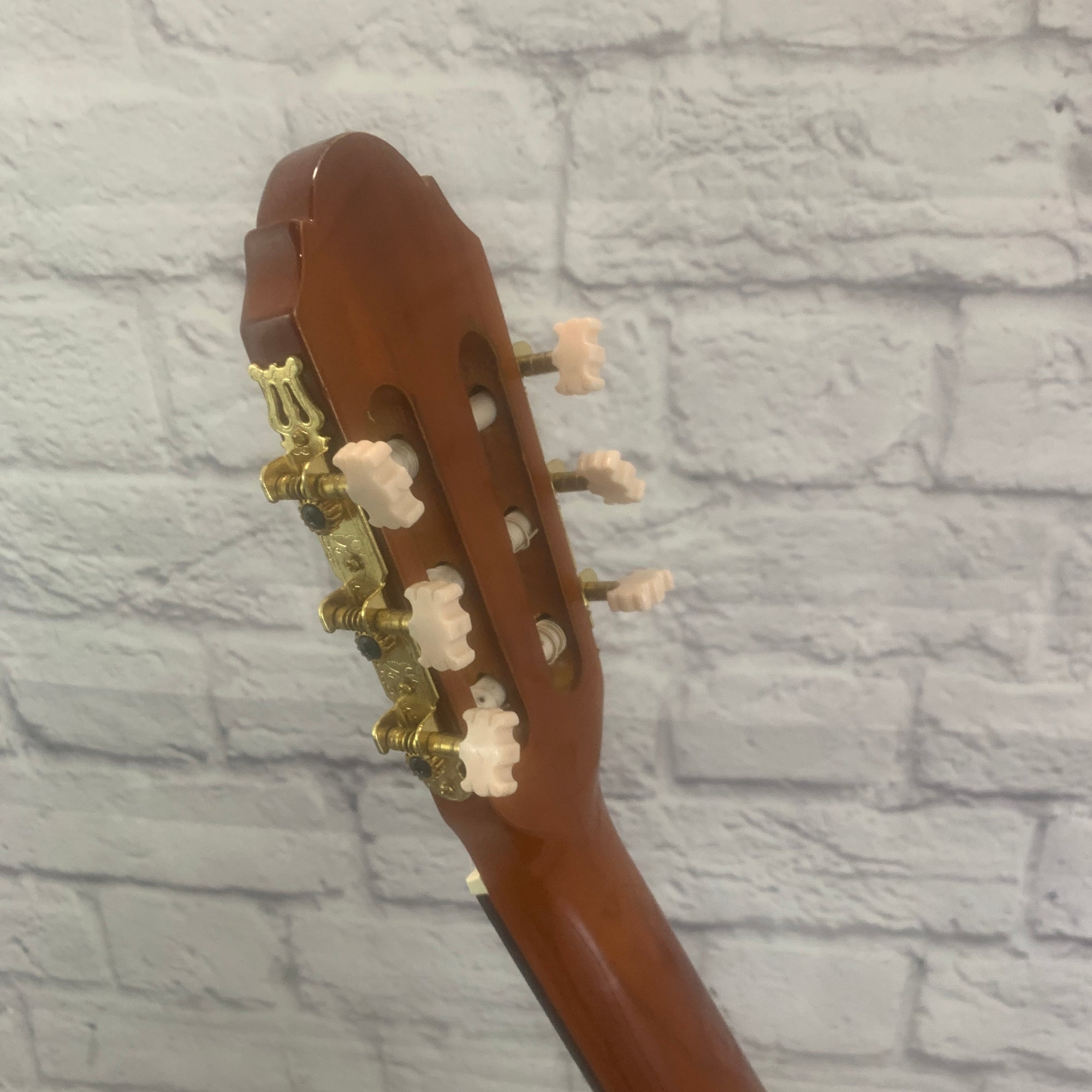 New York Pro Classical Pro Acoustic Guitar