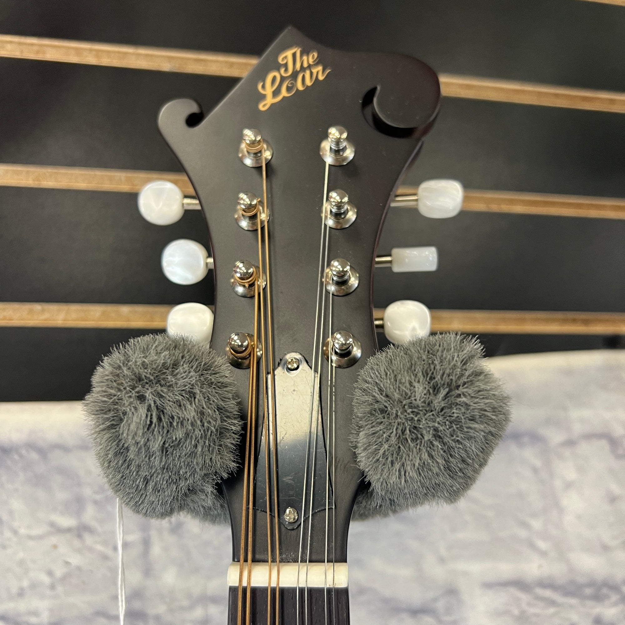 Loar LM-310F F Style Mandolin