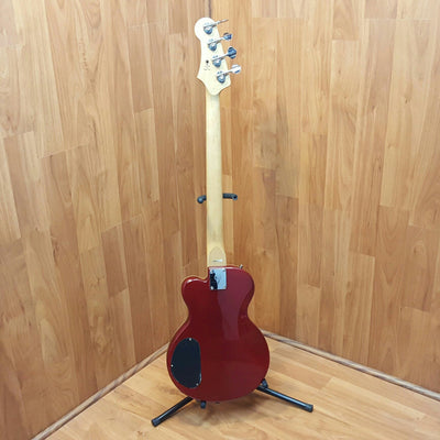 Canvas 4 String Bass