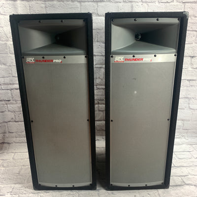 MTX TP2400 2x12 Passive PA Tower Speaker Pair