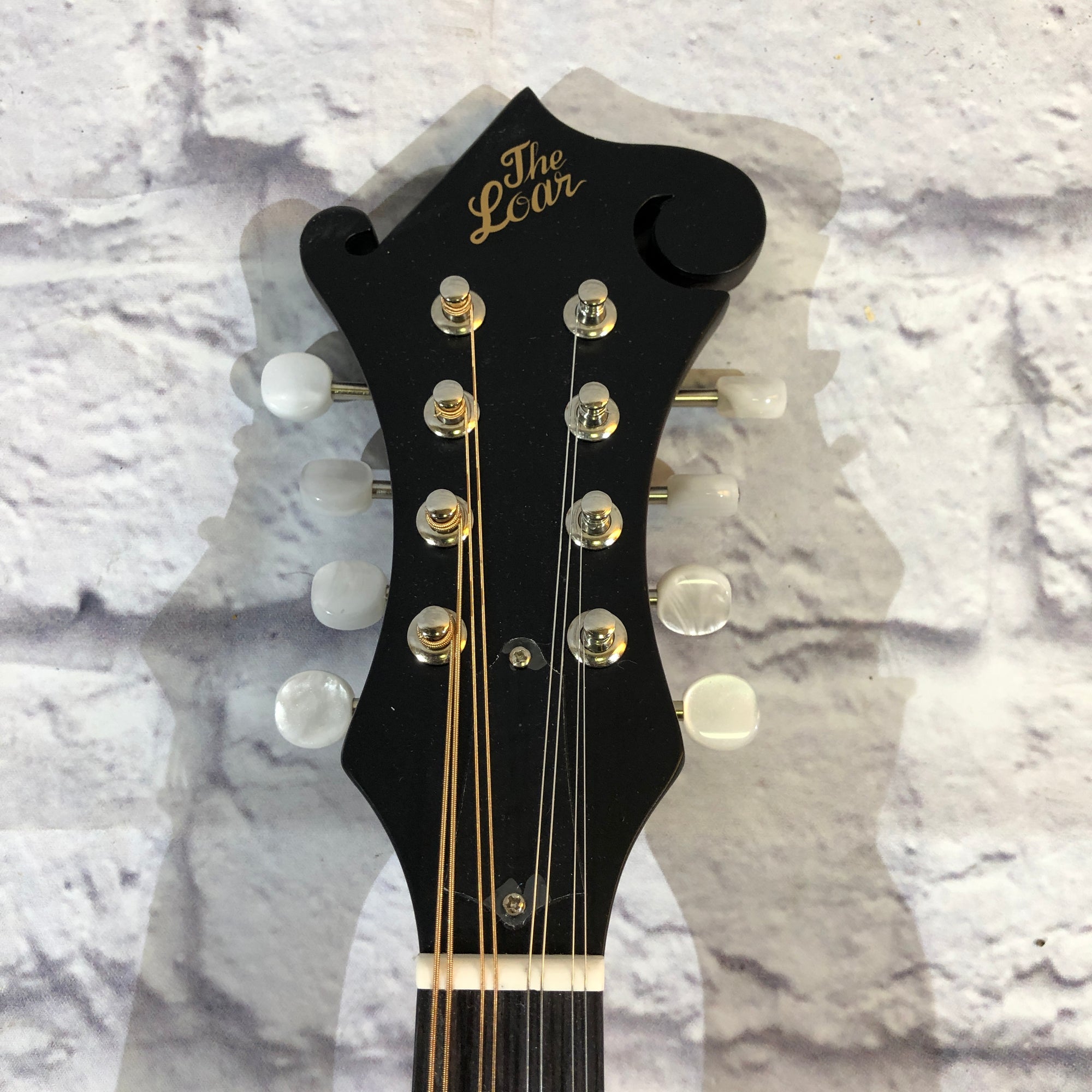 Loar LM310F F Style Mandolin