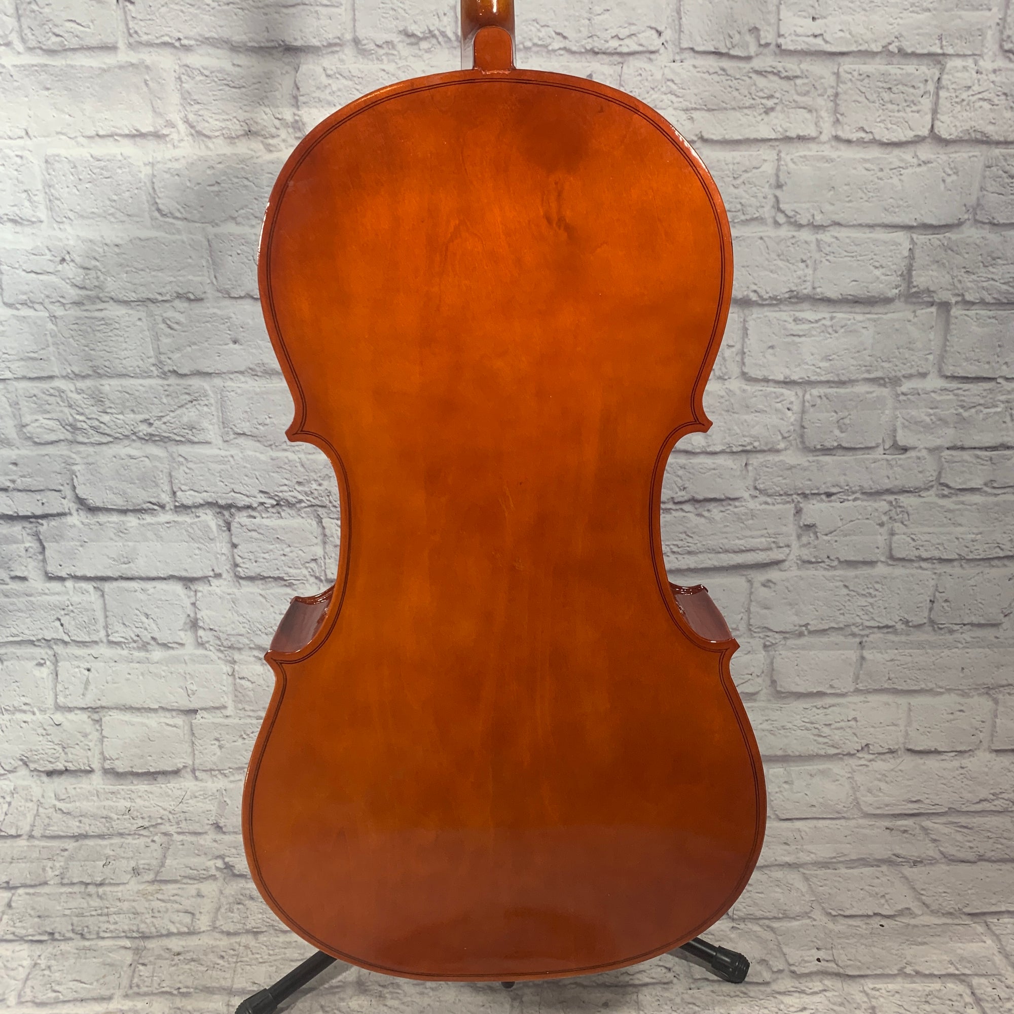 D Luca Meister Series MC100 4/4 Cello - S/N 886524631