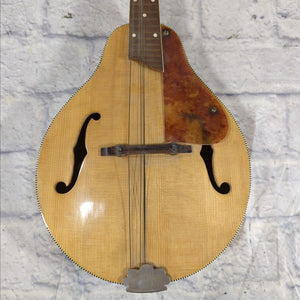 Unknown Antique Mandolin For Parts or Repair