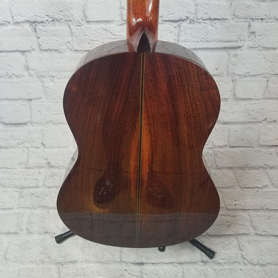 Francisco Domingo FG-27 Solid Cedar Wood Classical Guitar