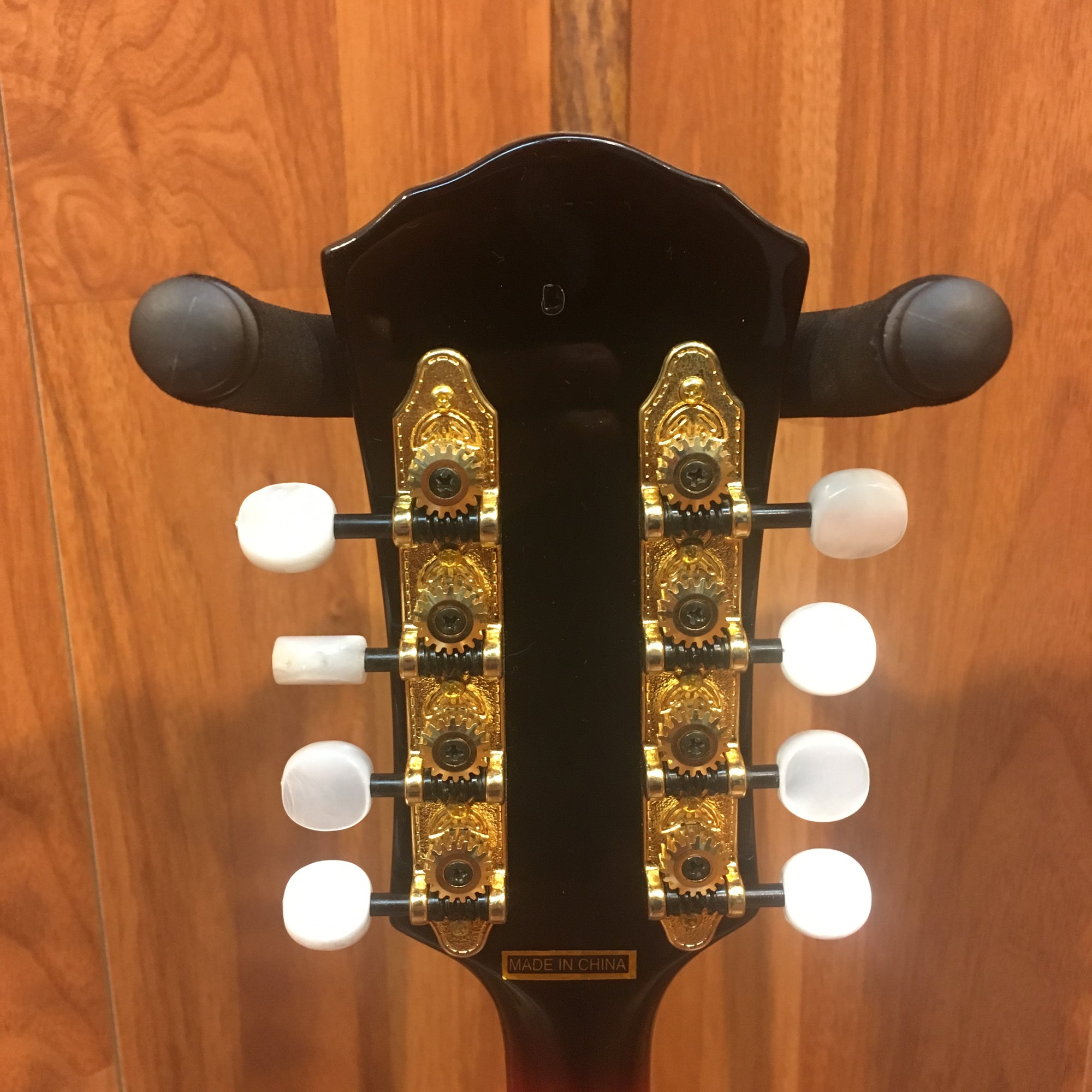 Michael Kelly AO A Mandolin