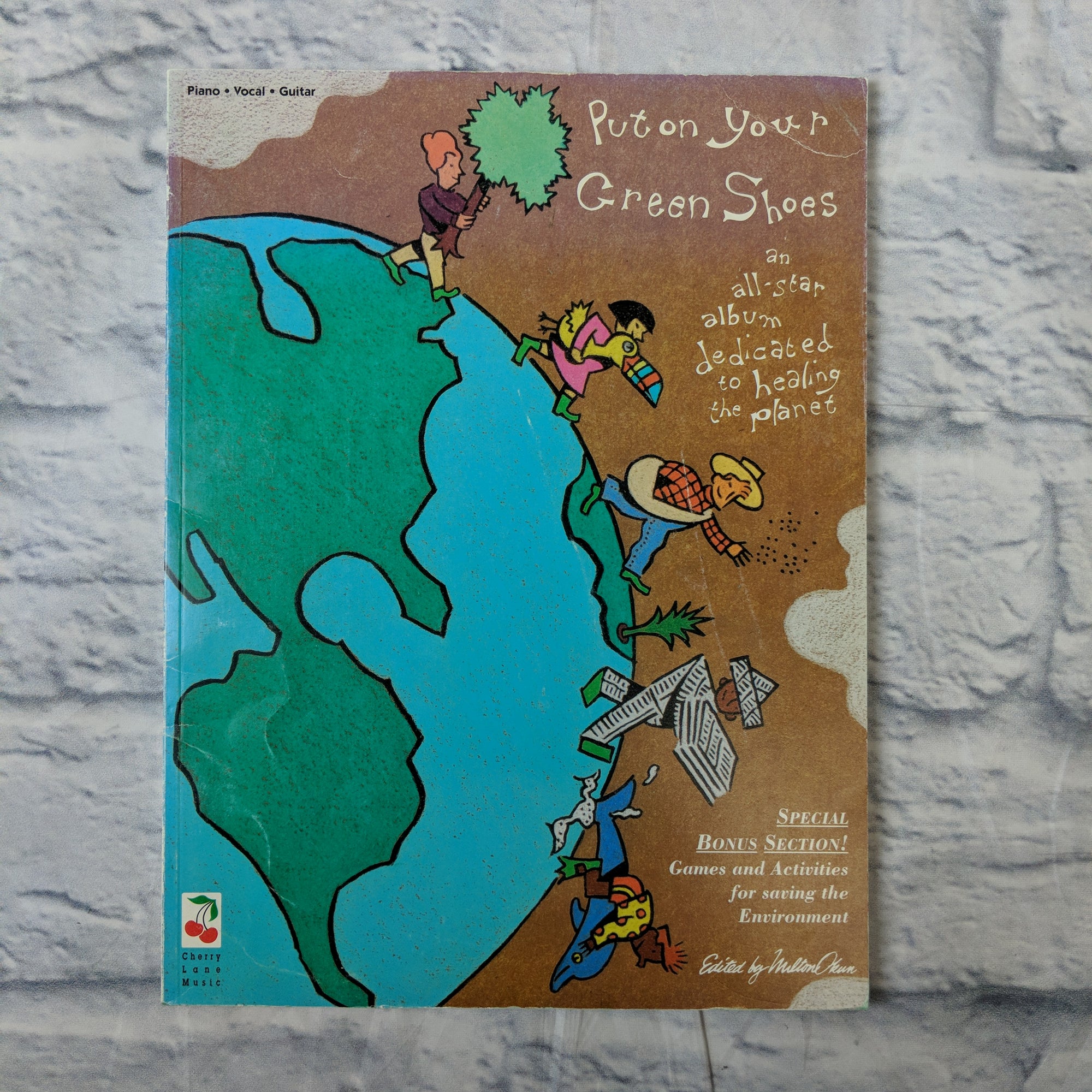 Put On Your Green Shoes Acoustic Guitar Music Book