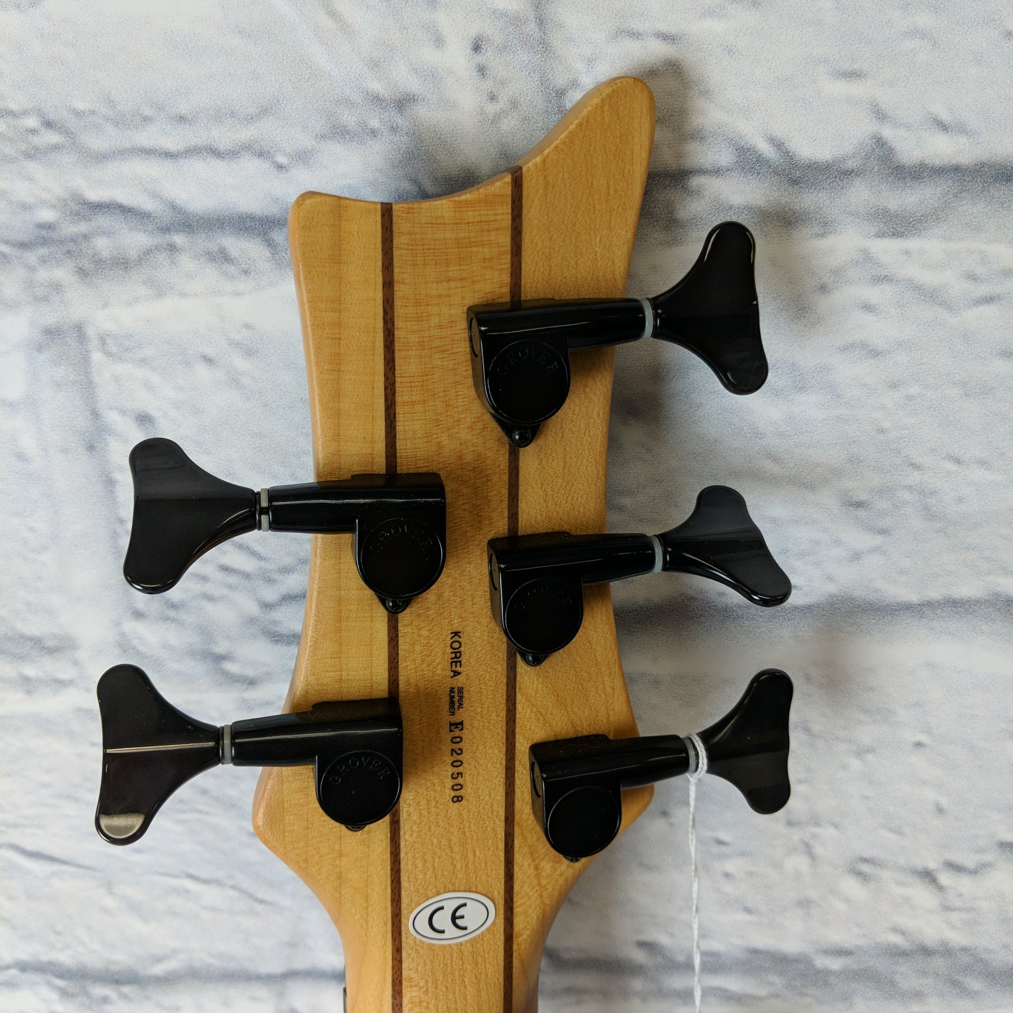 Dean Edge 5-String Fretless Bass w/gig bag E020508