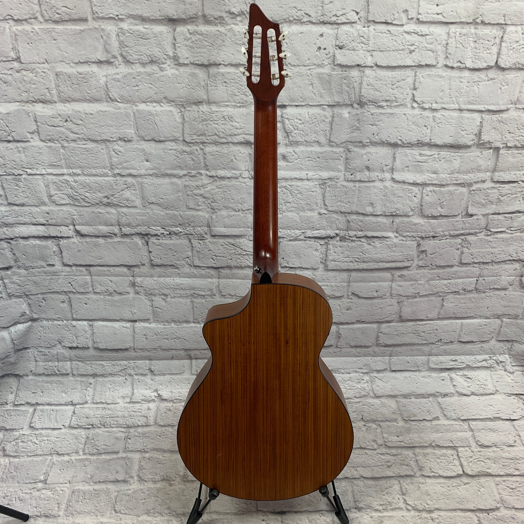 Breedlove Passport N250/Coe Acoustic