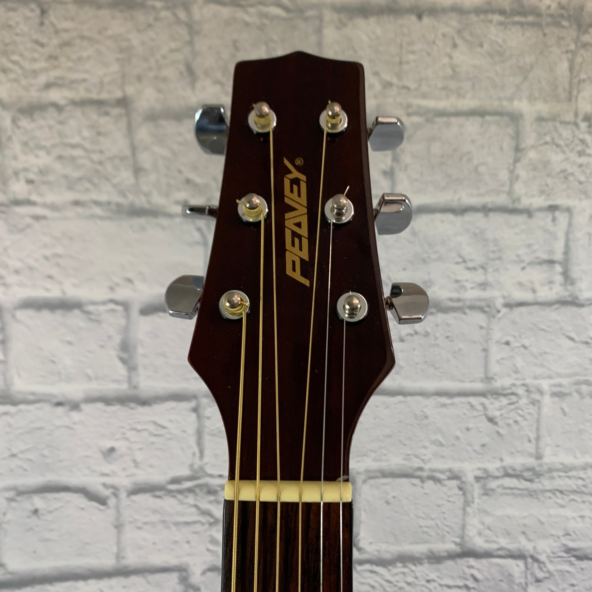 Peavy LP-001 Acoustic Guitar