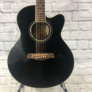 Ibanez AEL10E Acoustic Electric Guitar