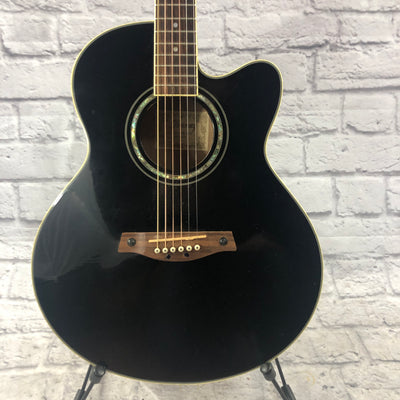 Ibanez AEL10E Acoustic Electric Guitar