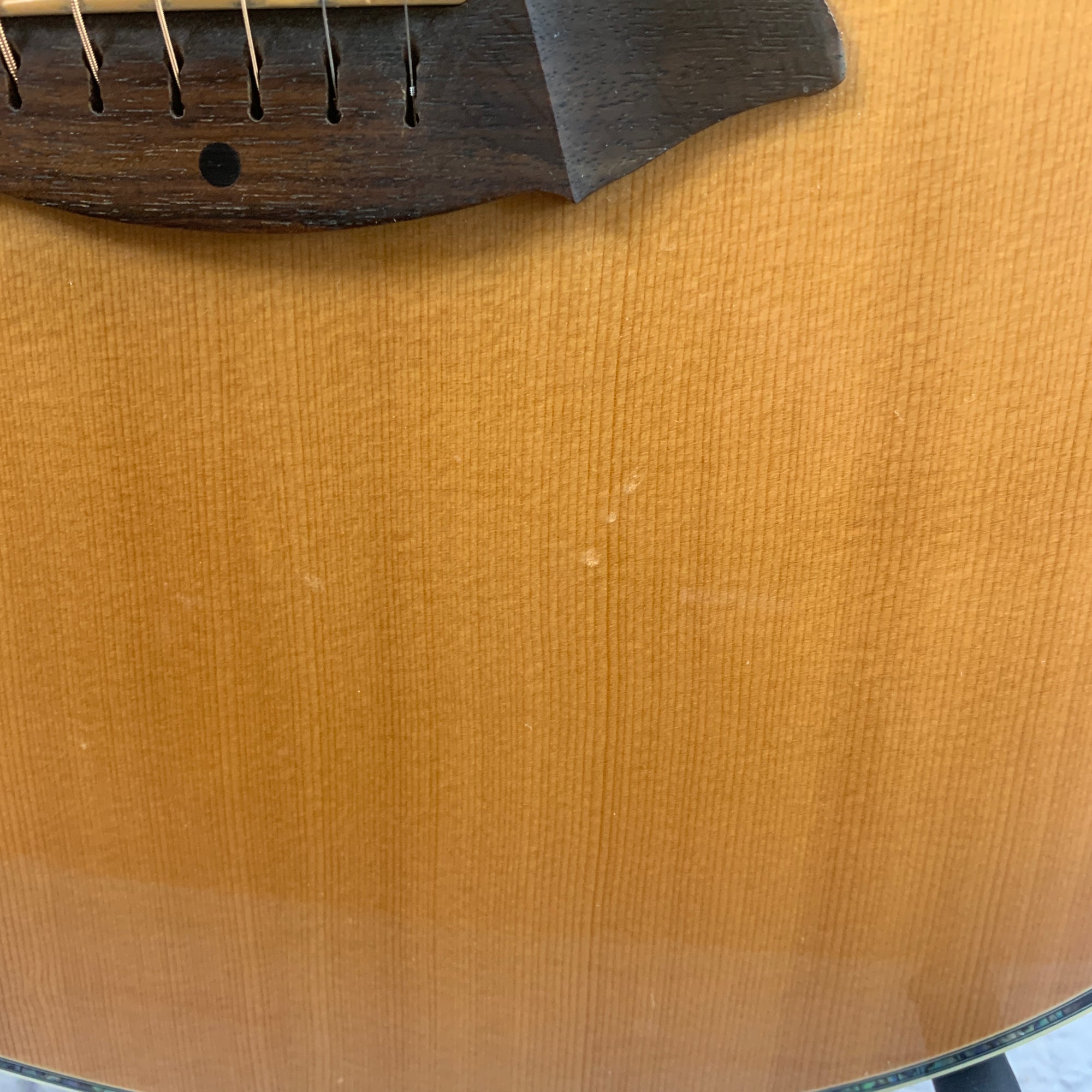 Breedlove AC250/SF Plus w/ Original Case