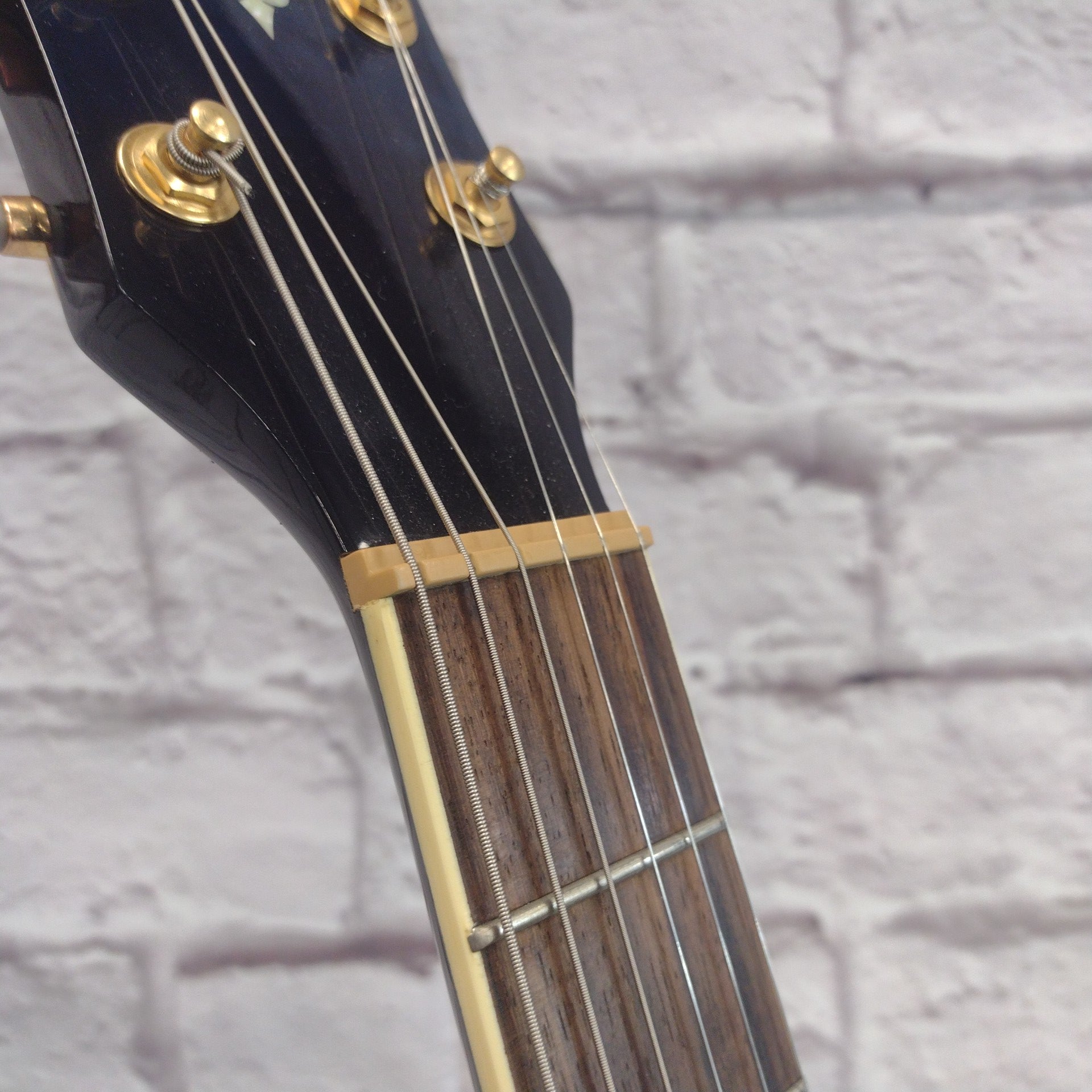 Ibanez AEL20E Blue Dreadnaught Acoustic Guitar