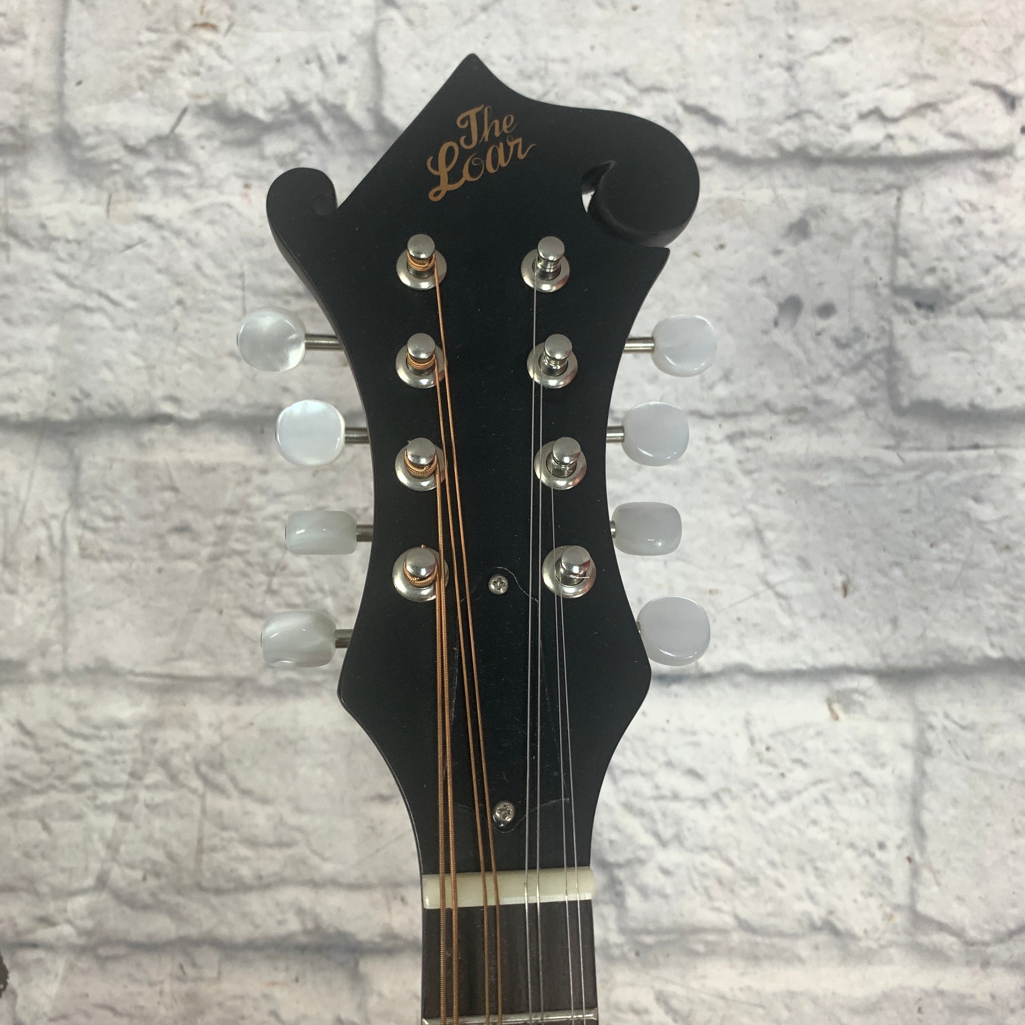 Loar Mandolin LM-31cf-BRB
