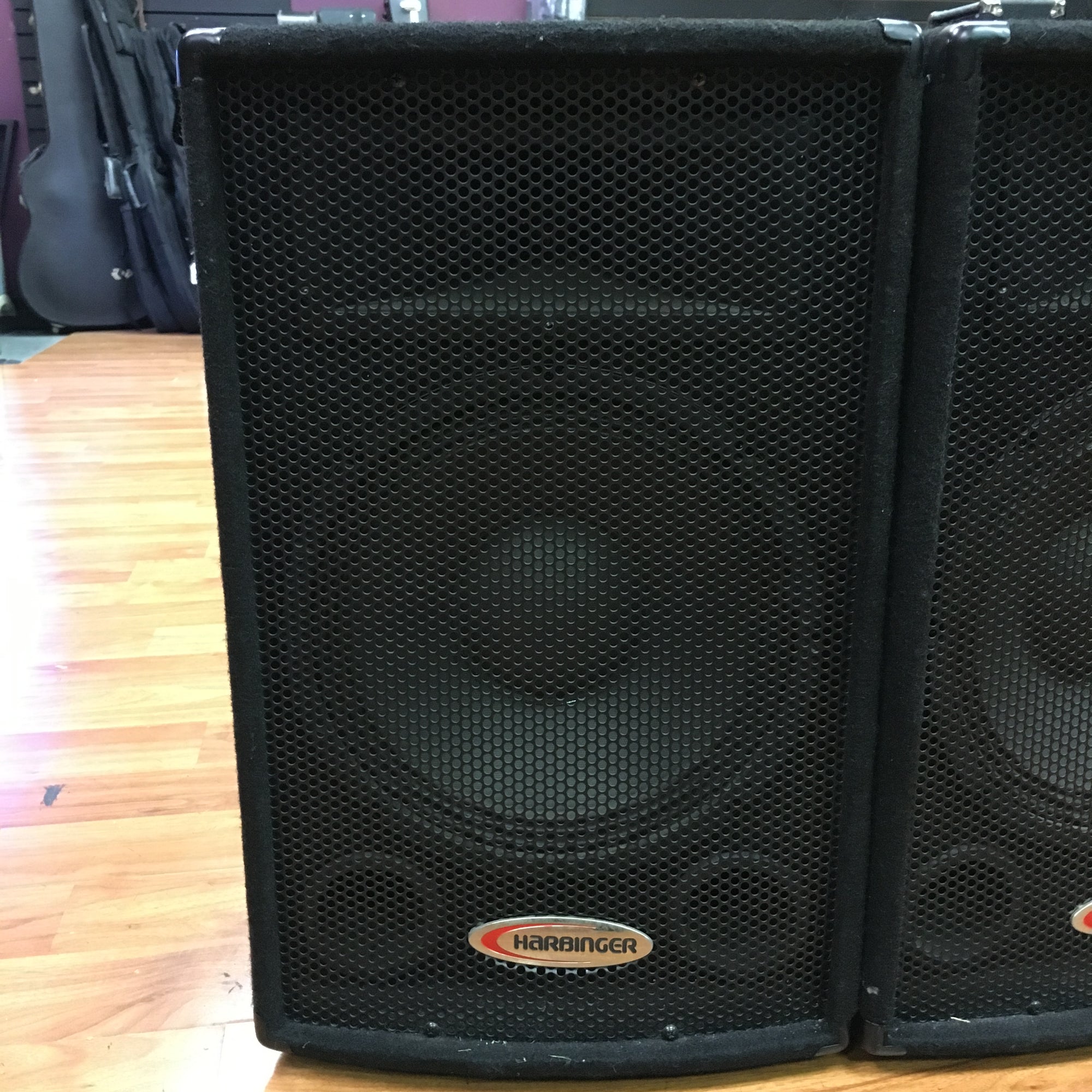 Harbinger HA120 120W Passive PA Pair