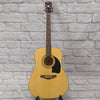 Washburn Lyon Acoustic Guitar W/ Gig Bag