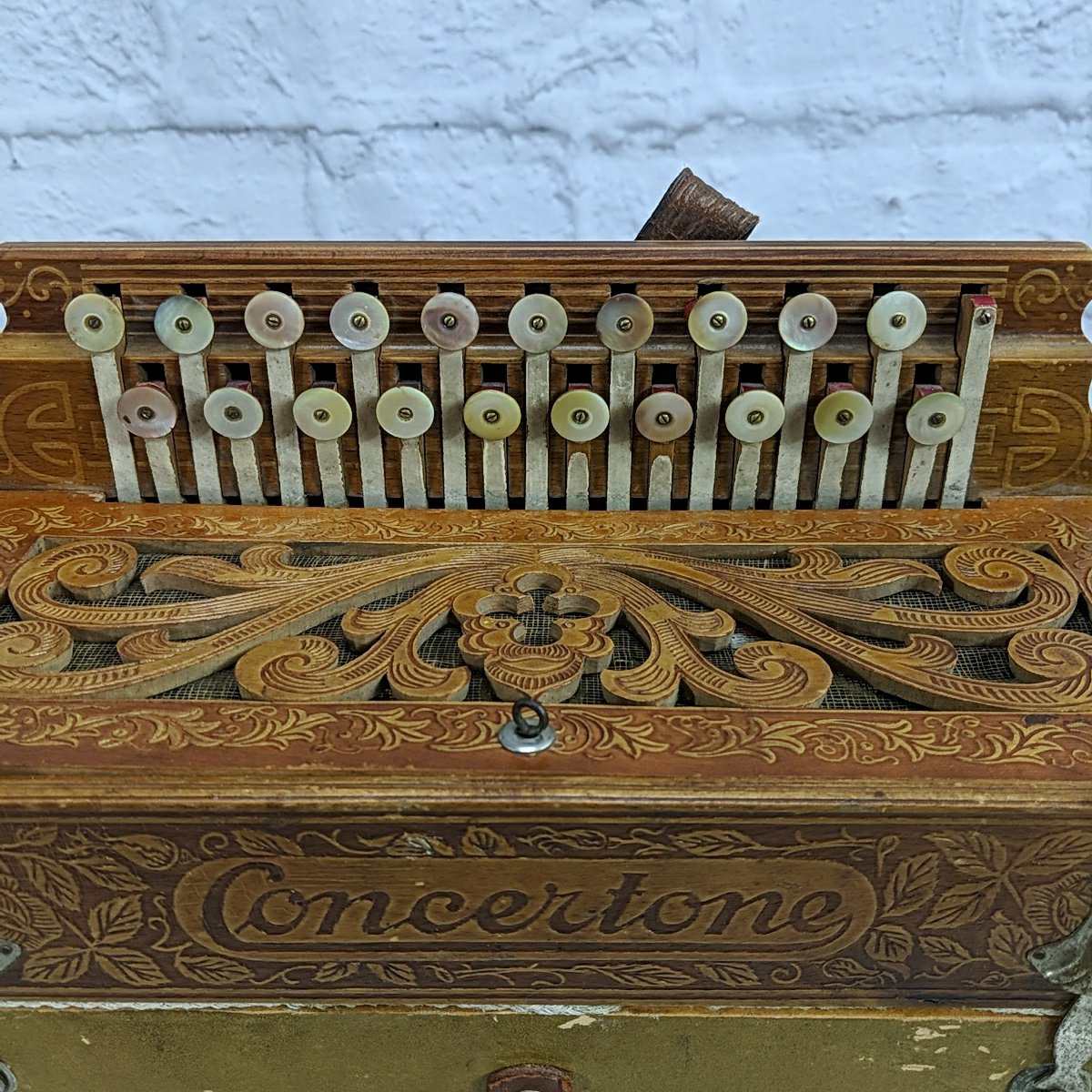 Concertone 20 Key 8 Button Steel Reed Series Button Accordion