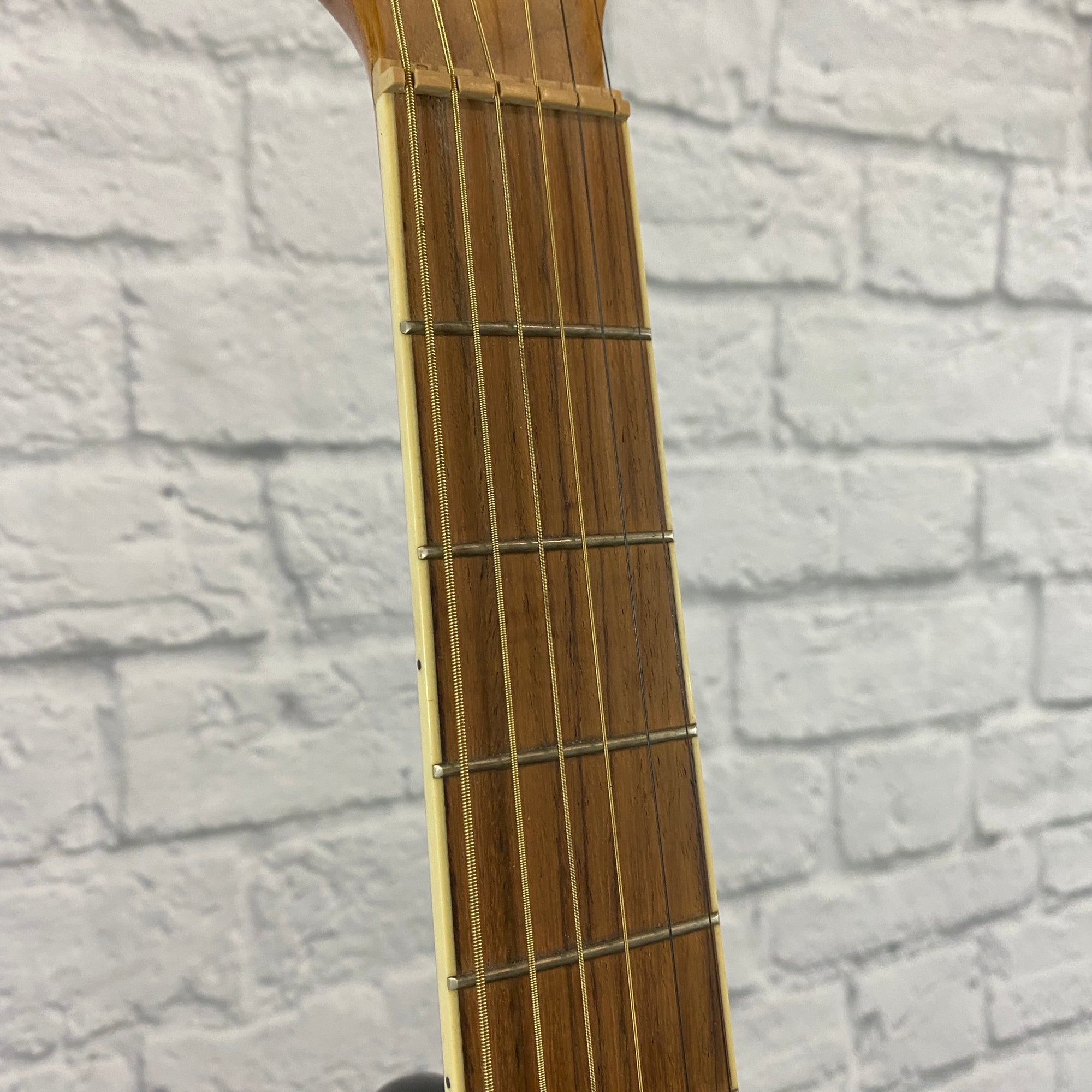 Ibanez EW20ASNT Grand Auditorium Acoustic Guitar - Figured Ash