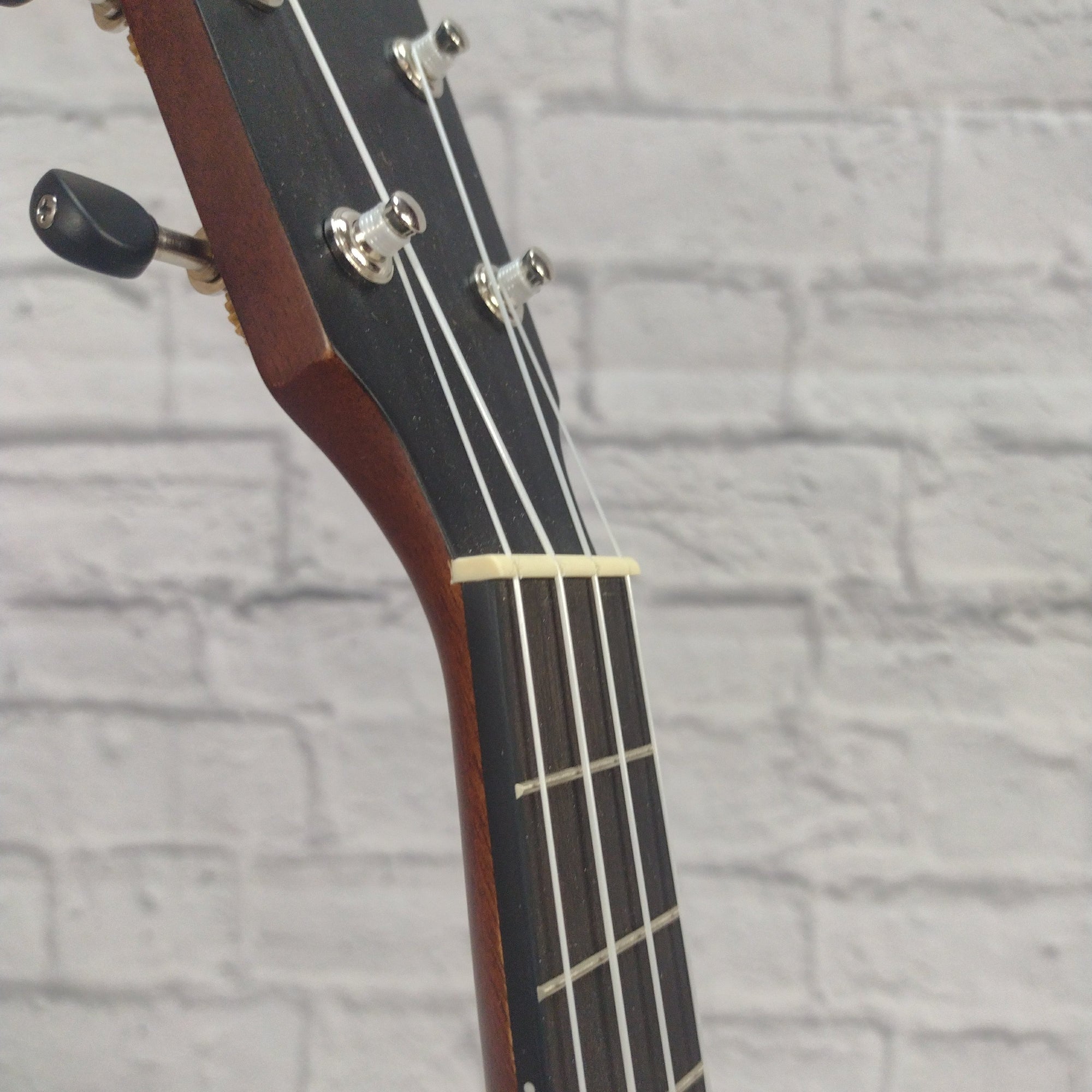 Breedlove Pursuit EX S Tenor TE CE Ukuleles