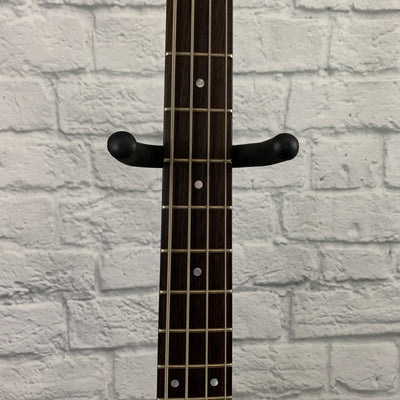 Schecter Raiden DLX-4 4 String Bass - Sparkle Blue
