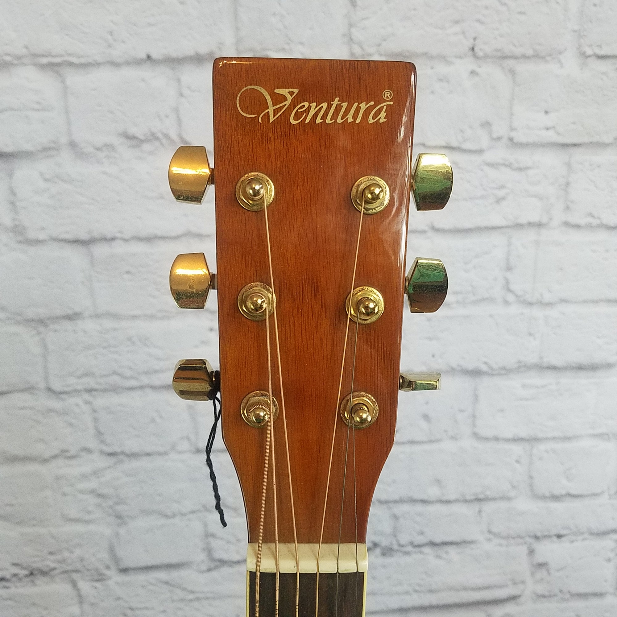 Ventura vwd5nat Acoustic Guitar