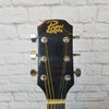 Rogue RD80 Acoustic Guitar