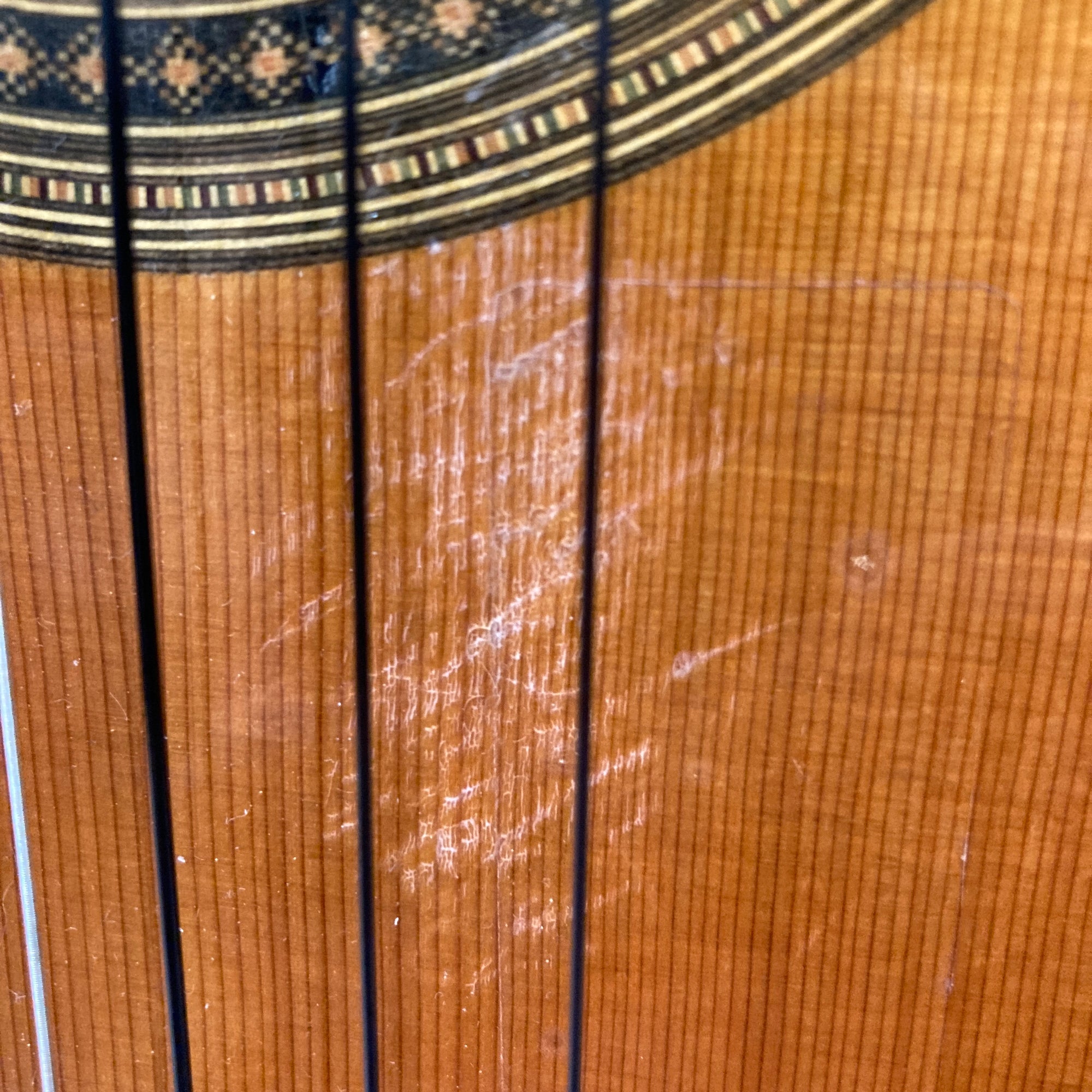 Pavan TP-10 Classical Acoustic Guitar