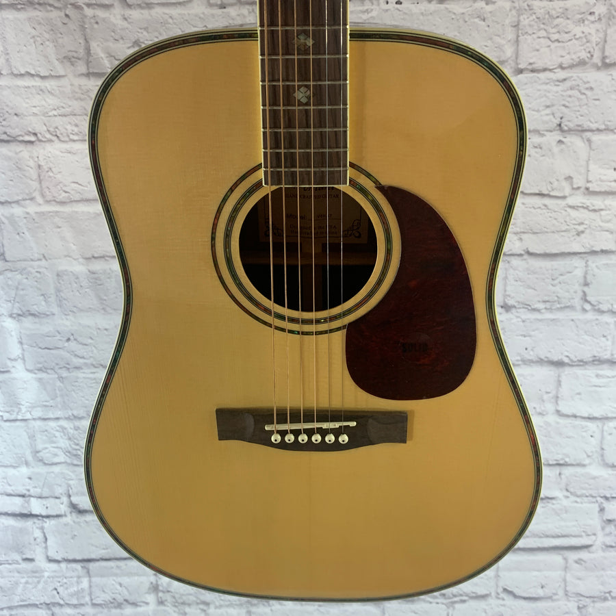 Ventura V6NAT Acoustic Guitar - New Old Stock!