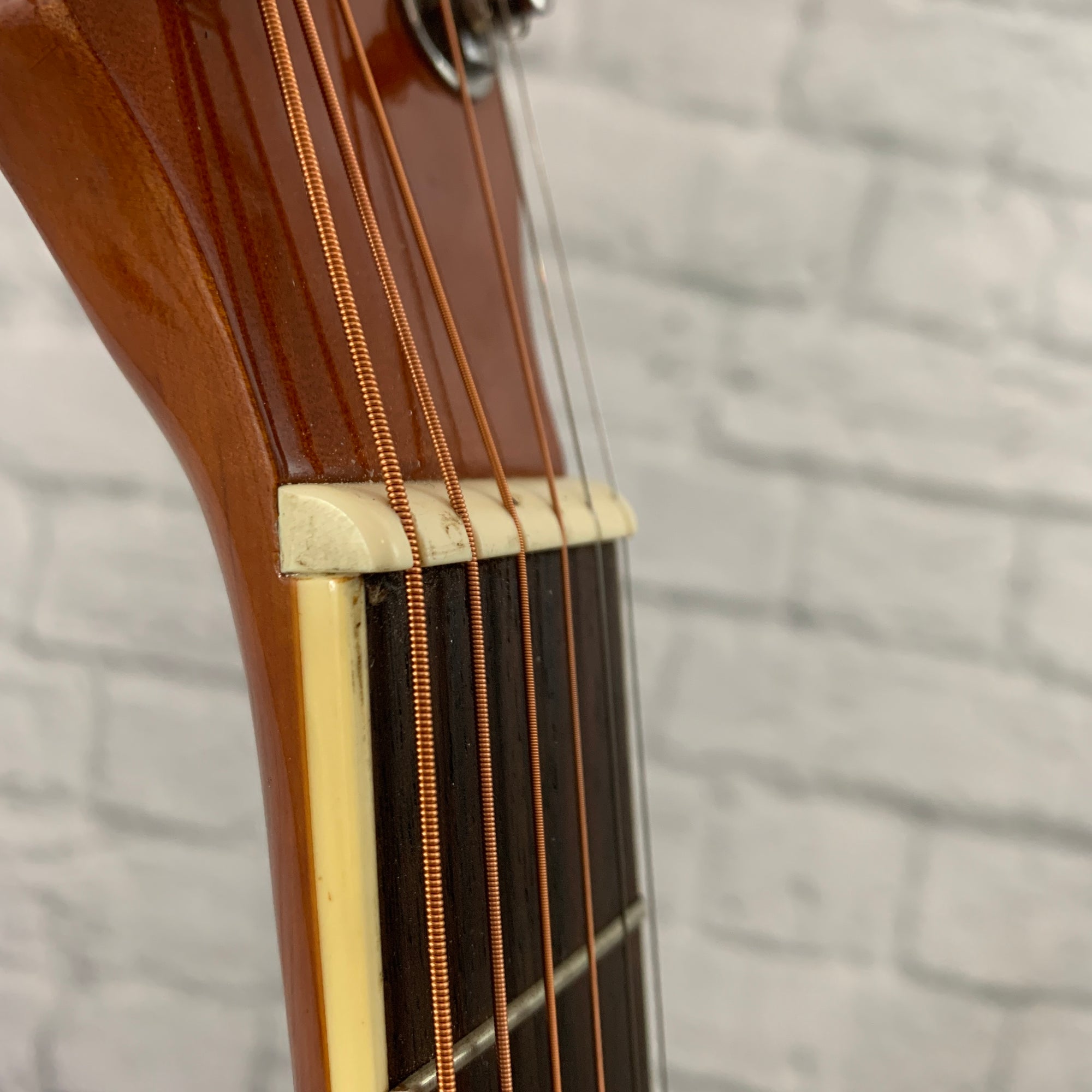 Ventura VWDO Natural Acoustic Guitar