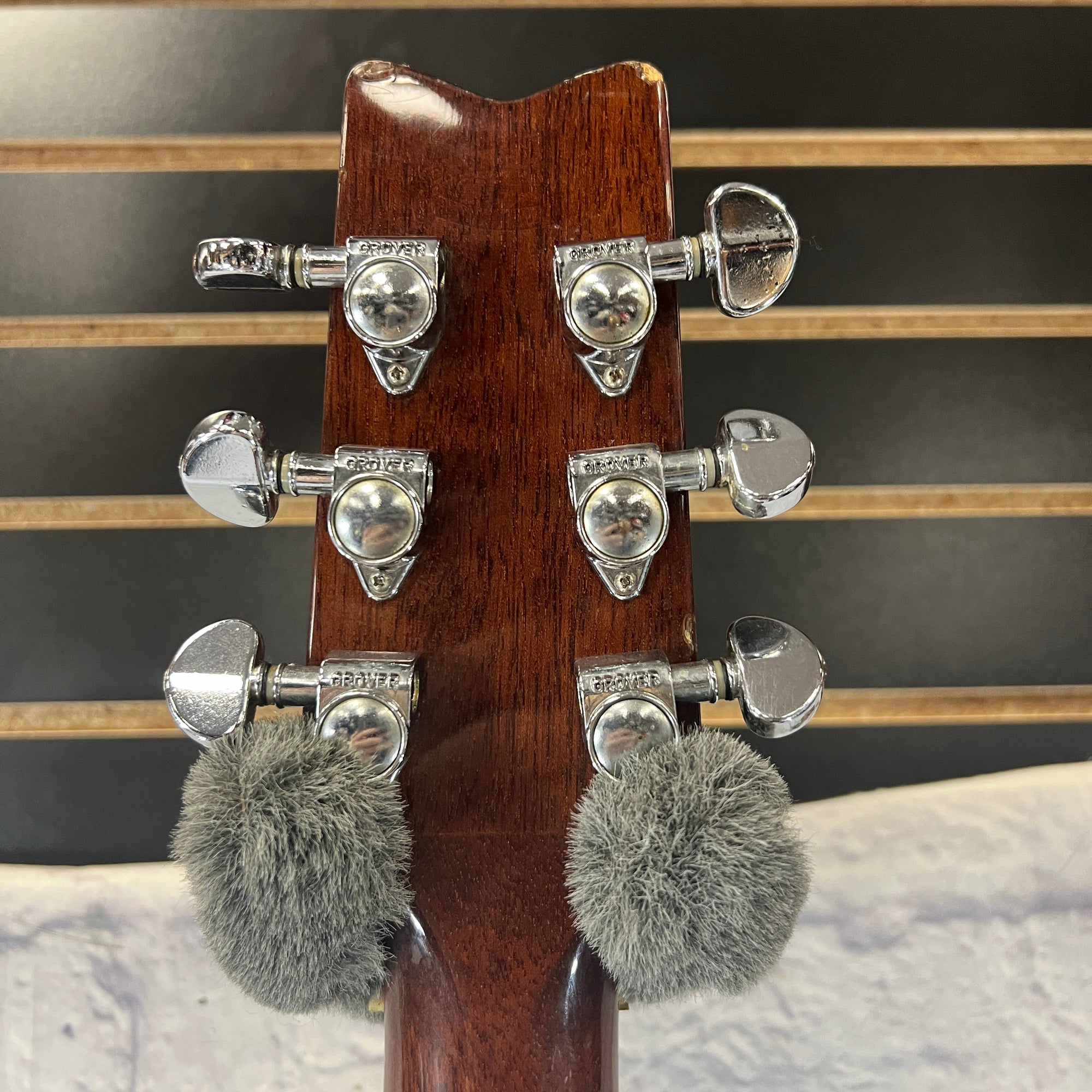Washburn D95LTD Dreadnaught Acoustic Guitar - Evolution Music