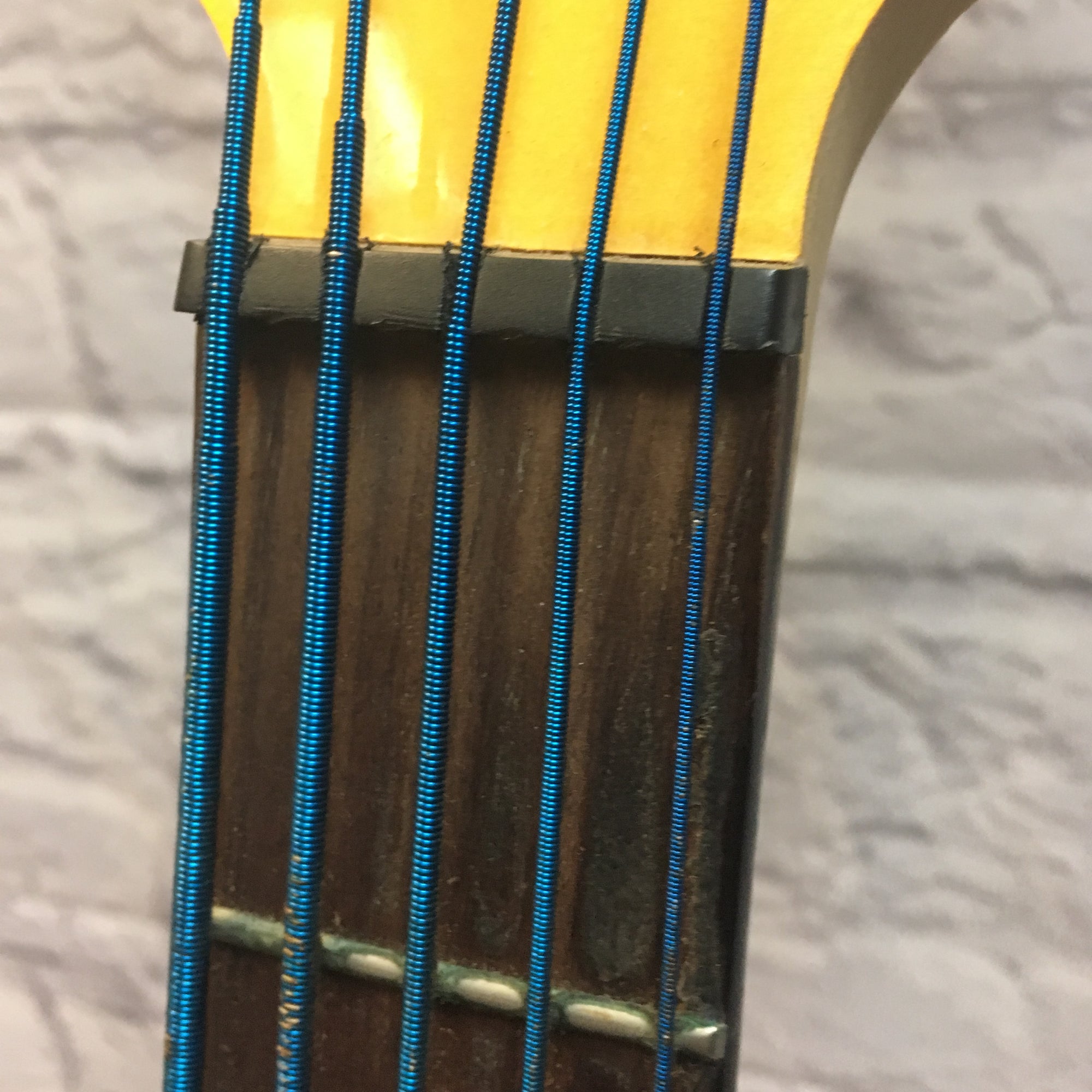 Ibanez ATK 5 String Bass