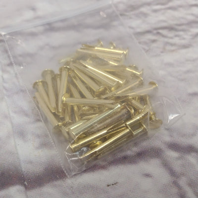 Unknown Guitar Case Latch