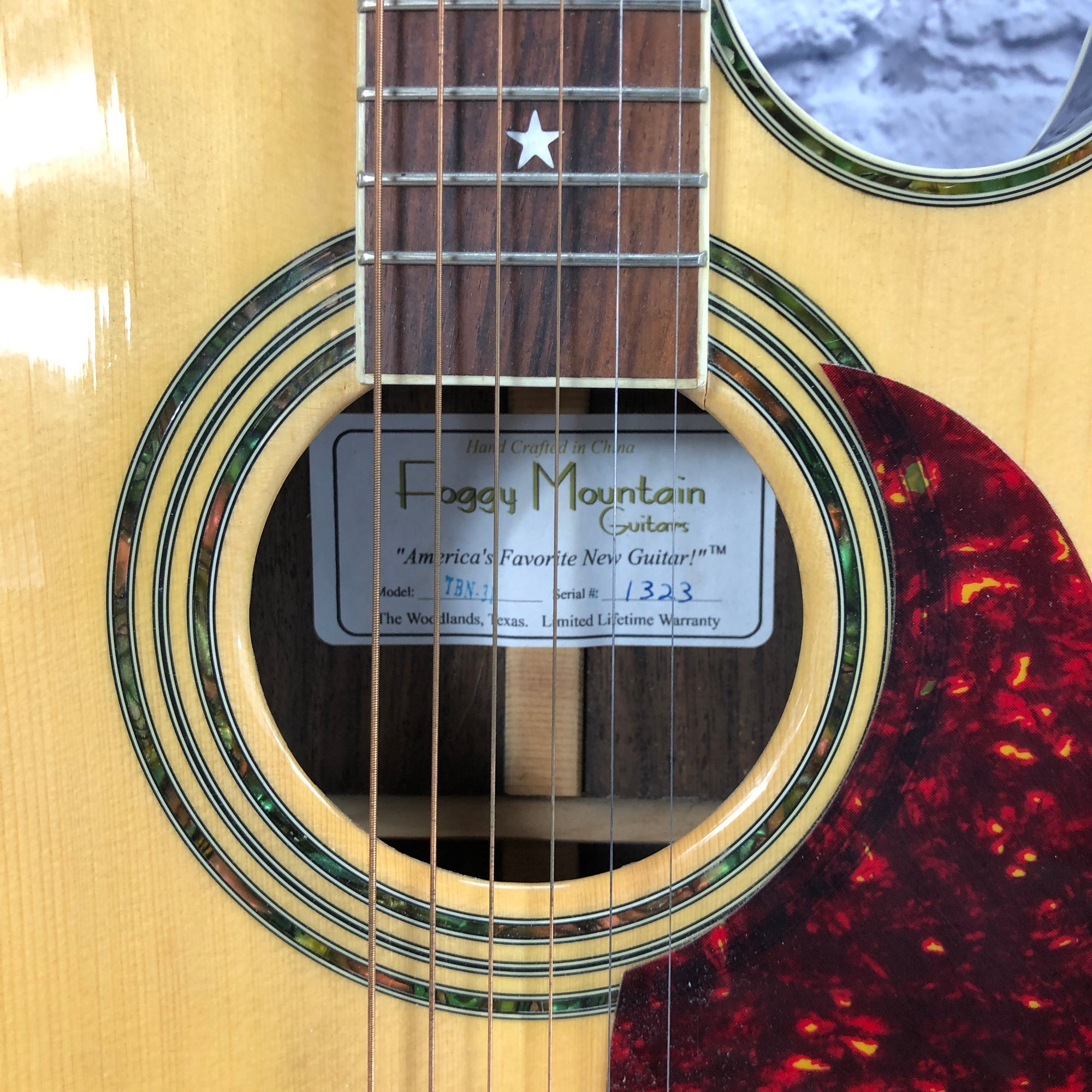 Foggy Mountain Guitars TBN-31 Thinline Jumbo Cutaway