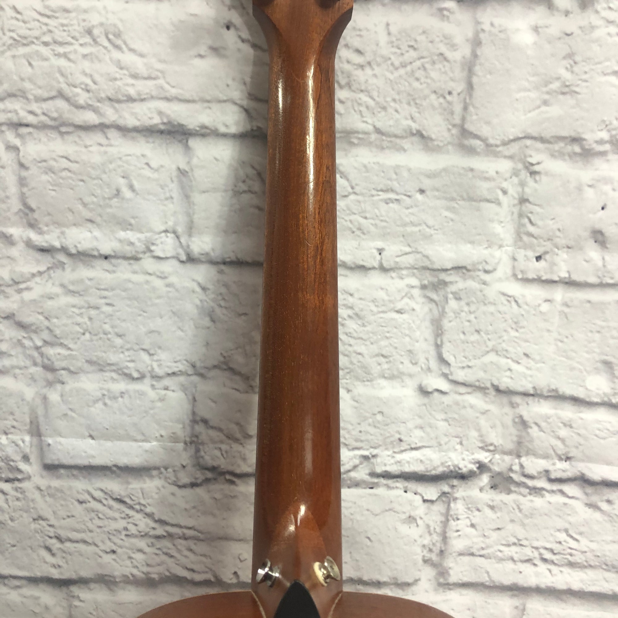 Taylor GS-Mini Acoustic Guitar with Pickup and Padded Bag