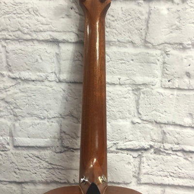 Taylor GS-Mini Acoustic Guitar with Pickup and Padded Bag