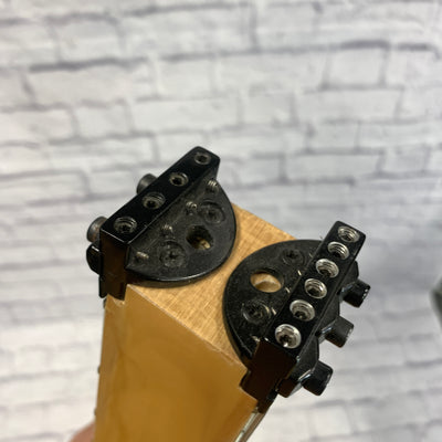 Busuyi Rich Short Scale Bass and Guitar
