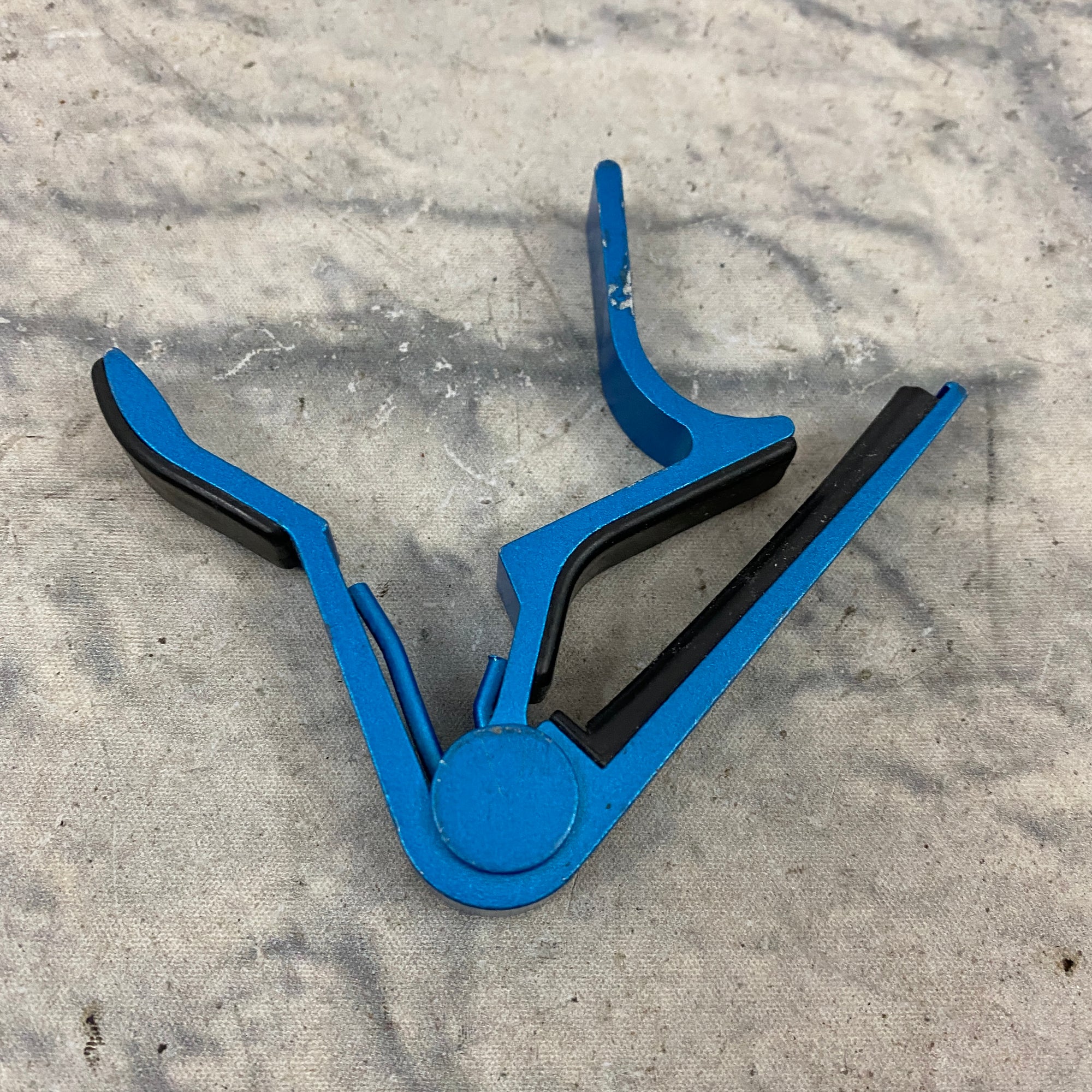 Unknown Blue Capo