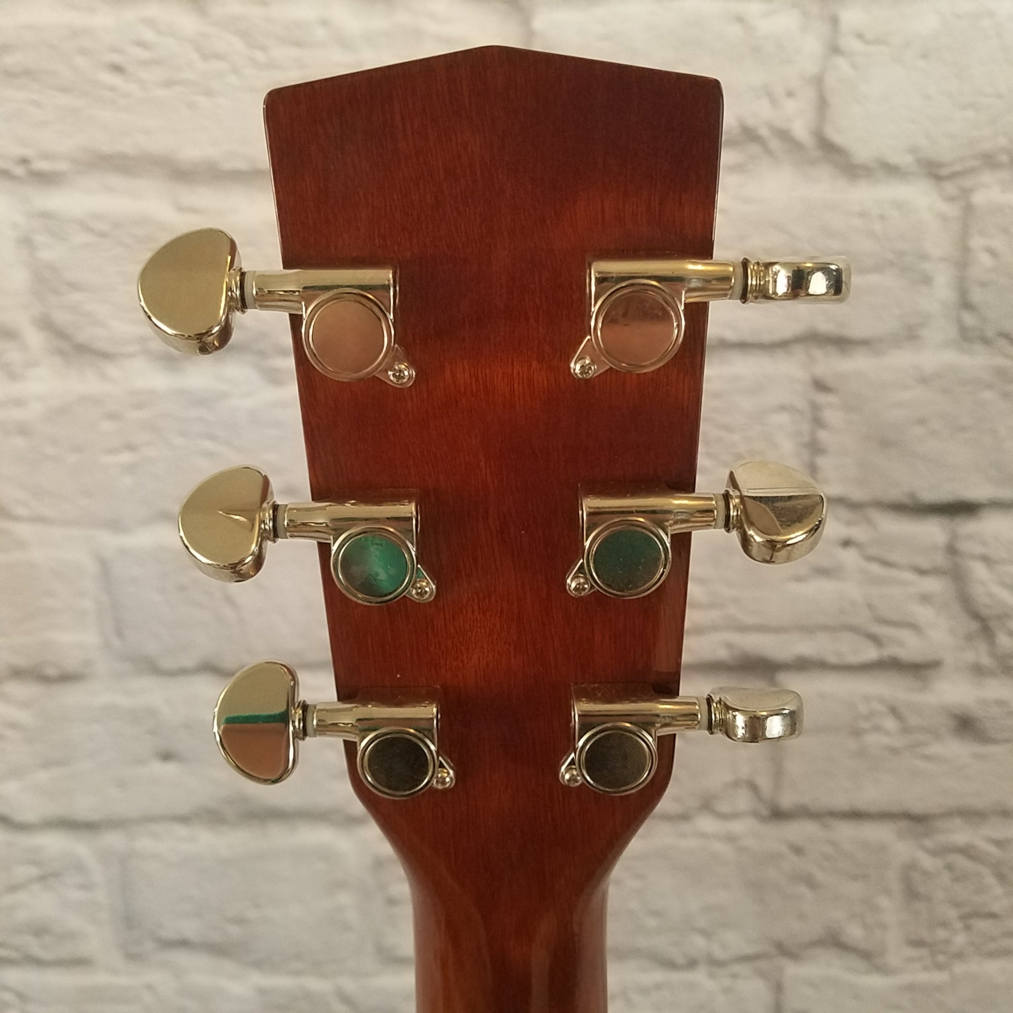 Cort Earth-190 Acoustic Guitar