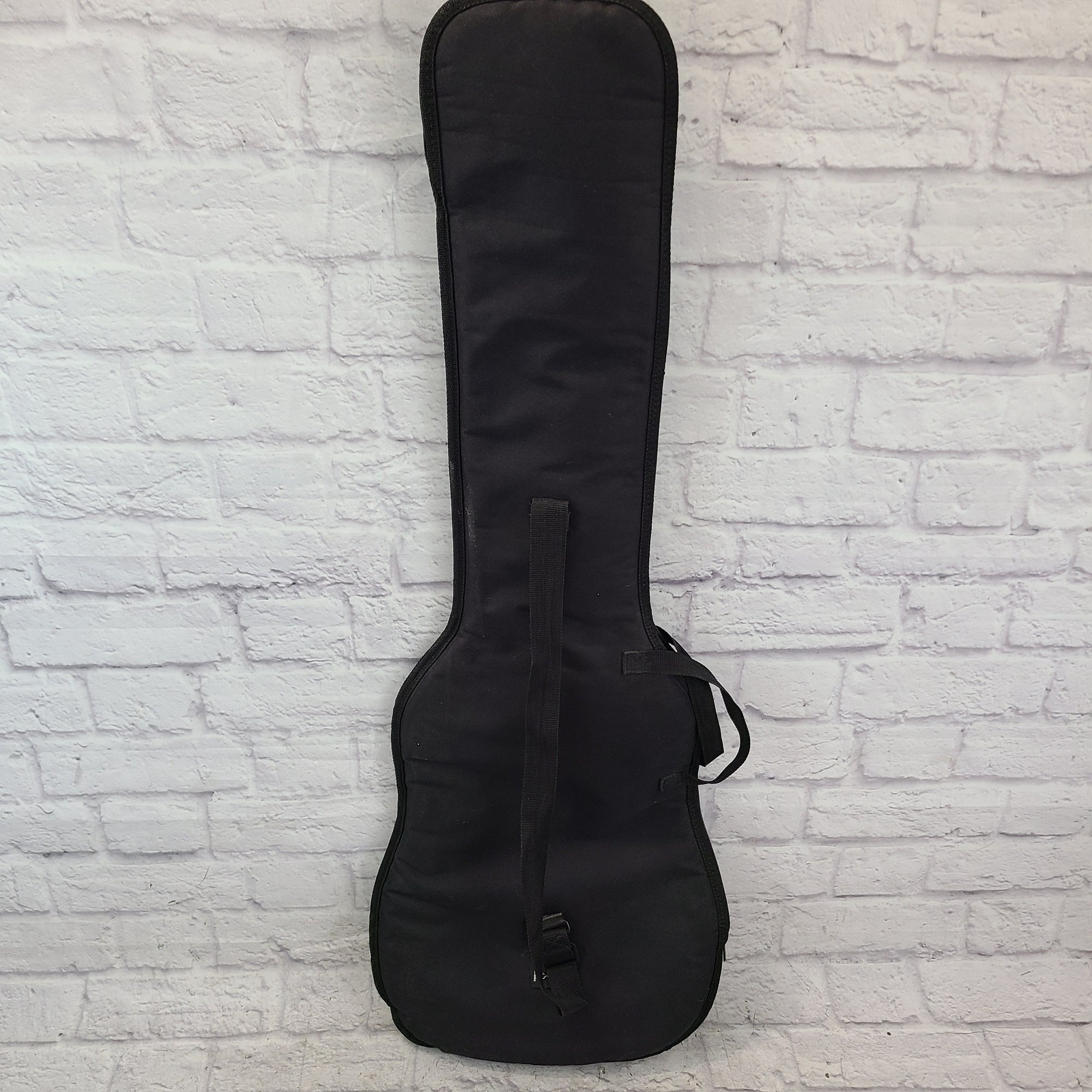 Unknown Bass Gig Bag