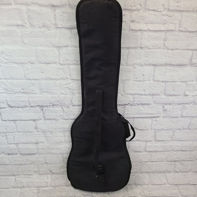 Unknown Bass Gig Bag