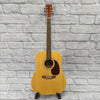 Burswood JW-41F Acoustic Guitar