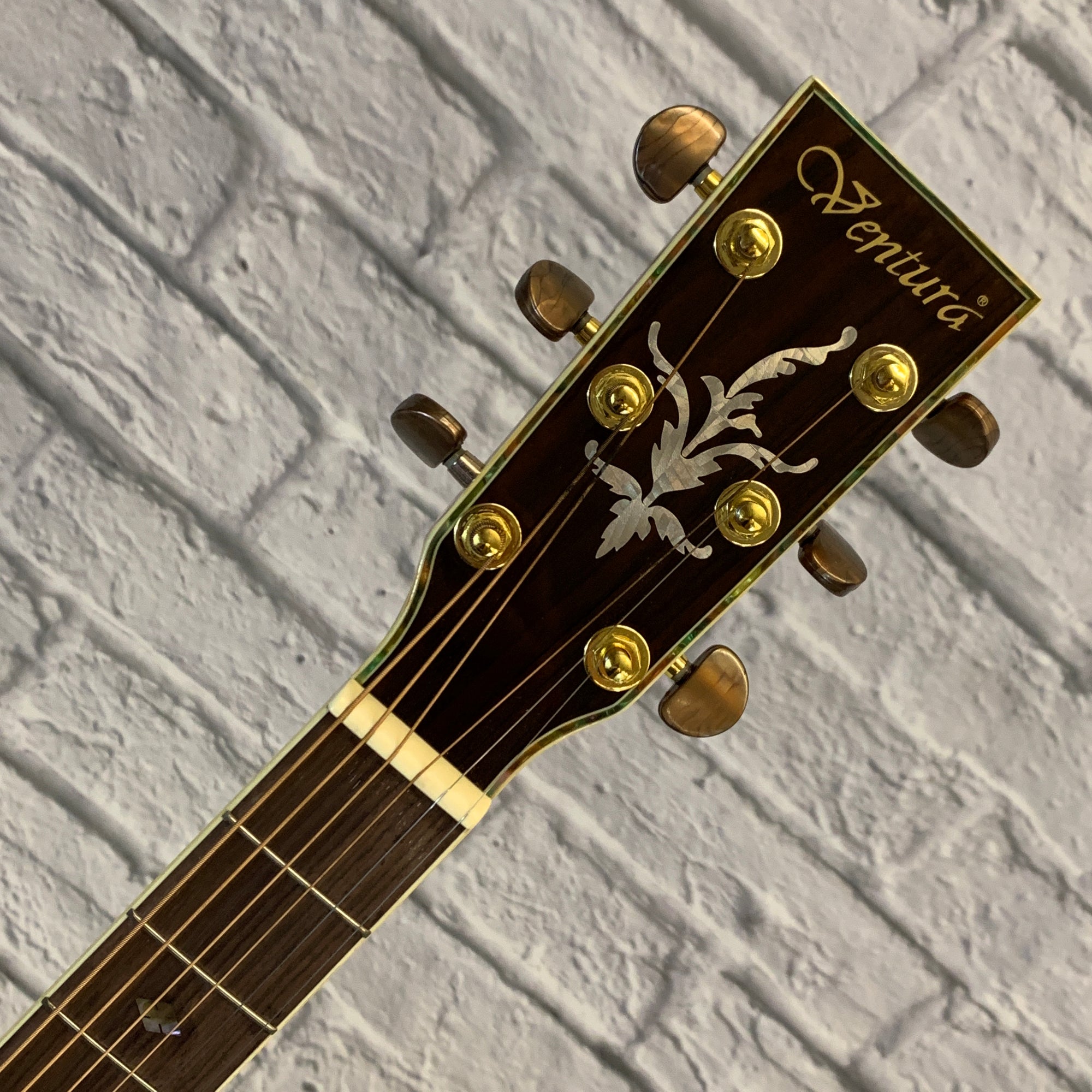 Ventura V4NAT Solid Top Dreadnought Acoustic Guitar