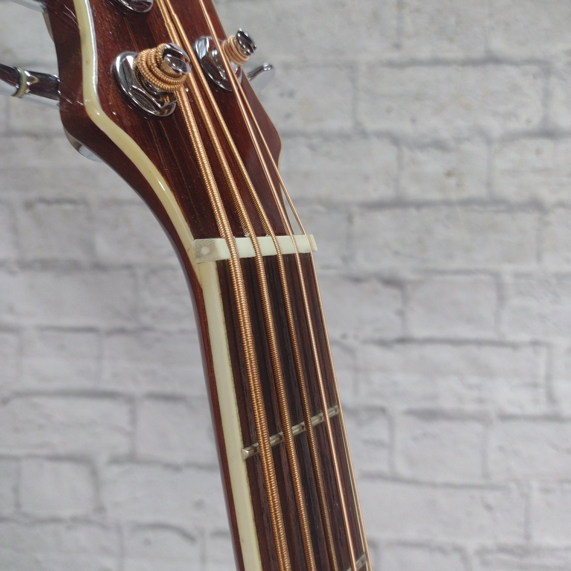 Michael Kelly MKSTAB5 5-String Acoustic Bass