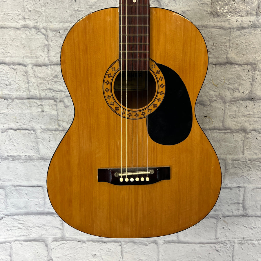 Hohner hw 200 Acoustic Guitar