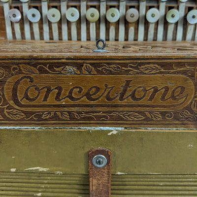 Concertone 20 Key 8 Button Steel Reed Series Button Accordion