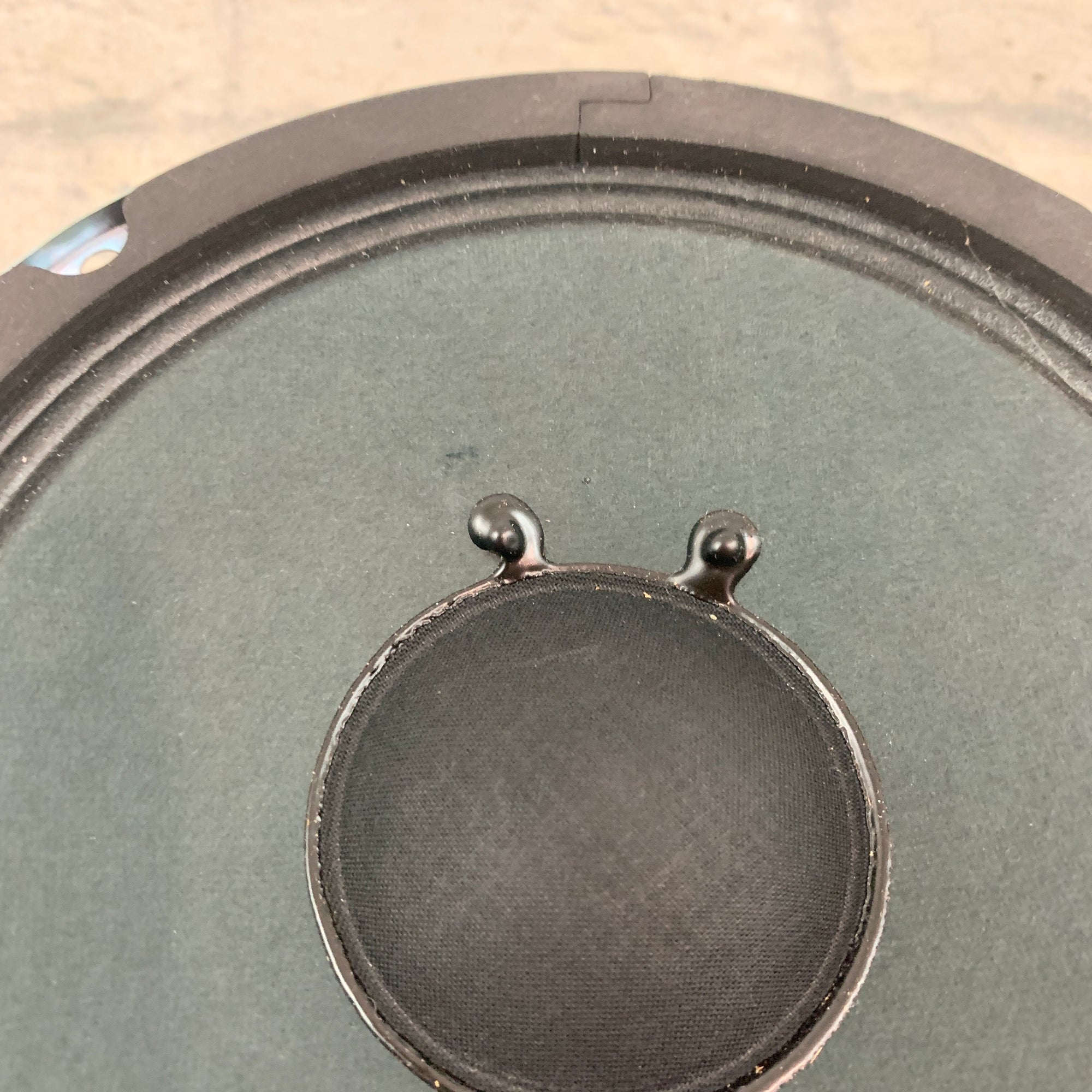 Unknown 6" Replacement Speaker