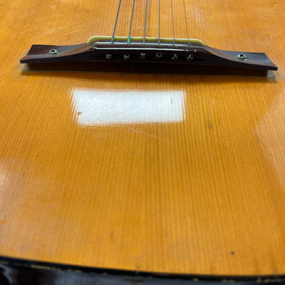 Prarie Acoustic Guitar AS IS