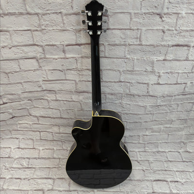 Ibanez AEG5 Thinline Acoustic Guitar