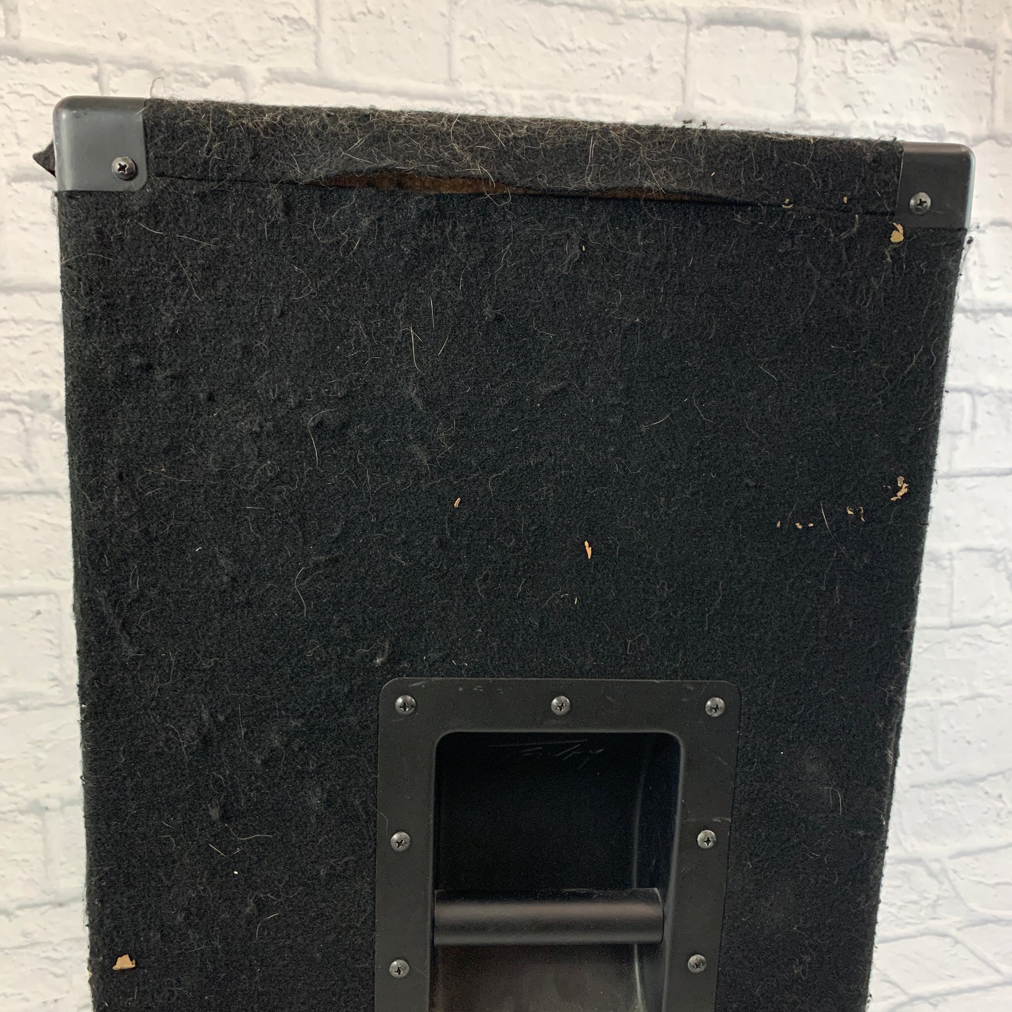 Peavey PV112 Passive Speaker