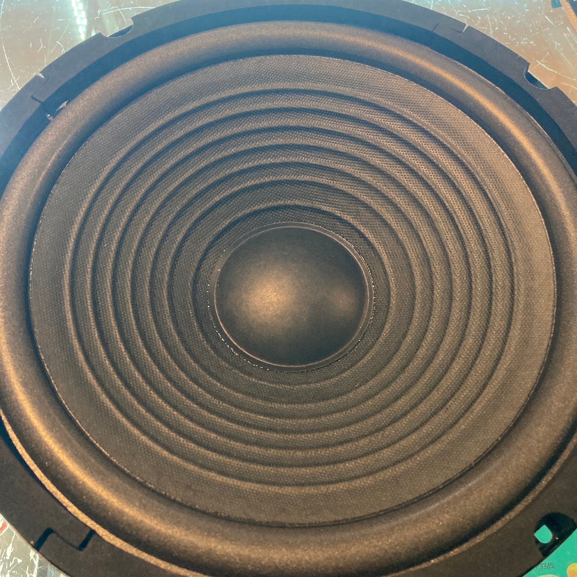 Unknown Chinese 10 Inch Speaker